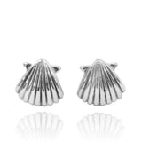 Seashell Stud Earrings