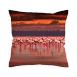 Pink Passion Cushion Cover