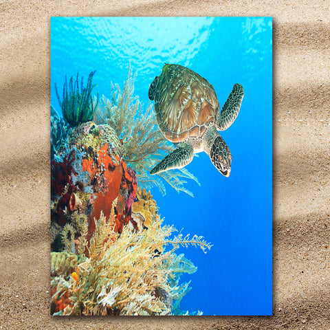 Turtle Jumbo Beach Towel