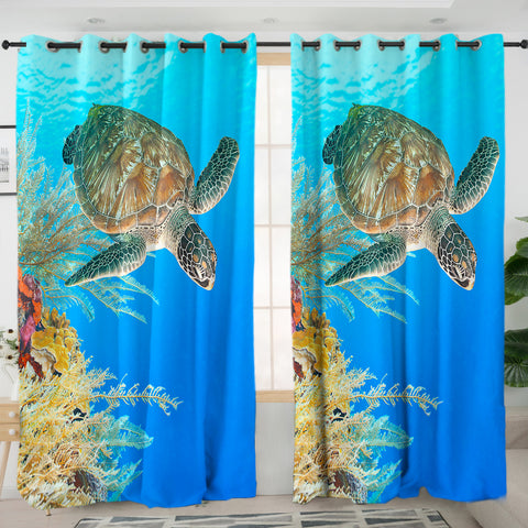 Turtle Curtains